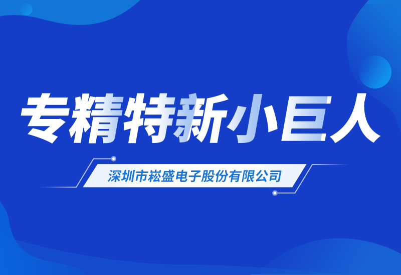 崧盛股份荣登2025年专精特新&ldquo;小巨人&rdquo;企业名单