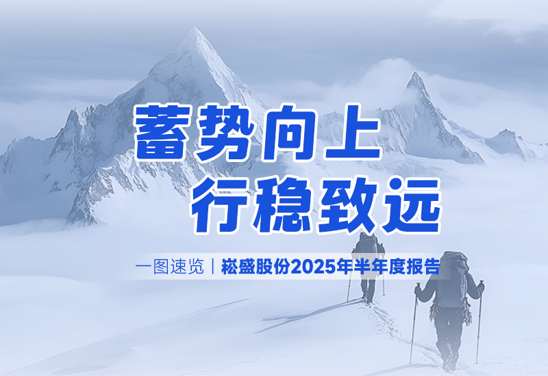 一图速览 | 崧盛股份2025年半年度报告