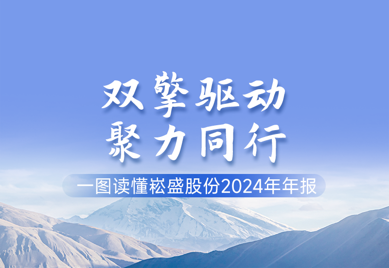 一图读懂 ▏崧盛股份2024年年报
