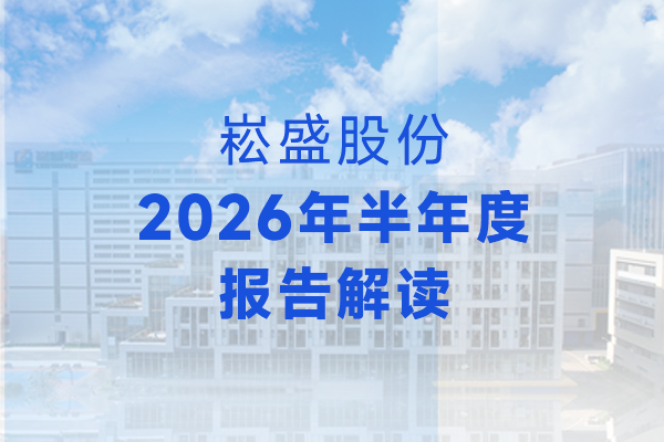 崧盛股份2026年半年度报告解读