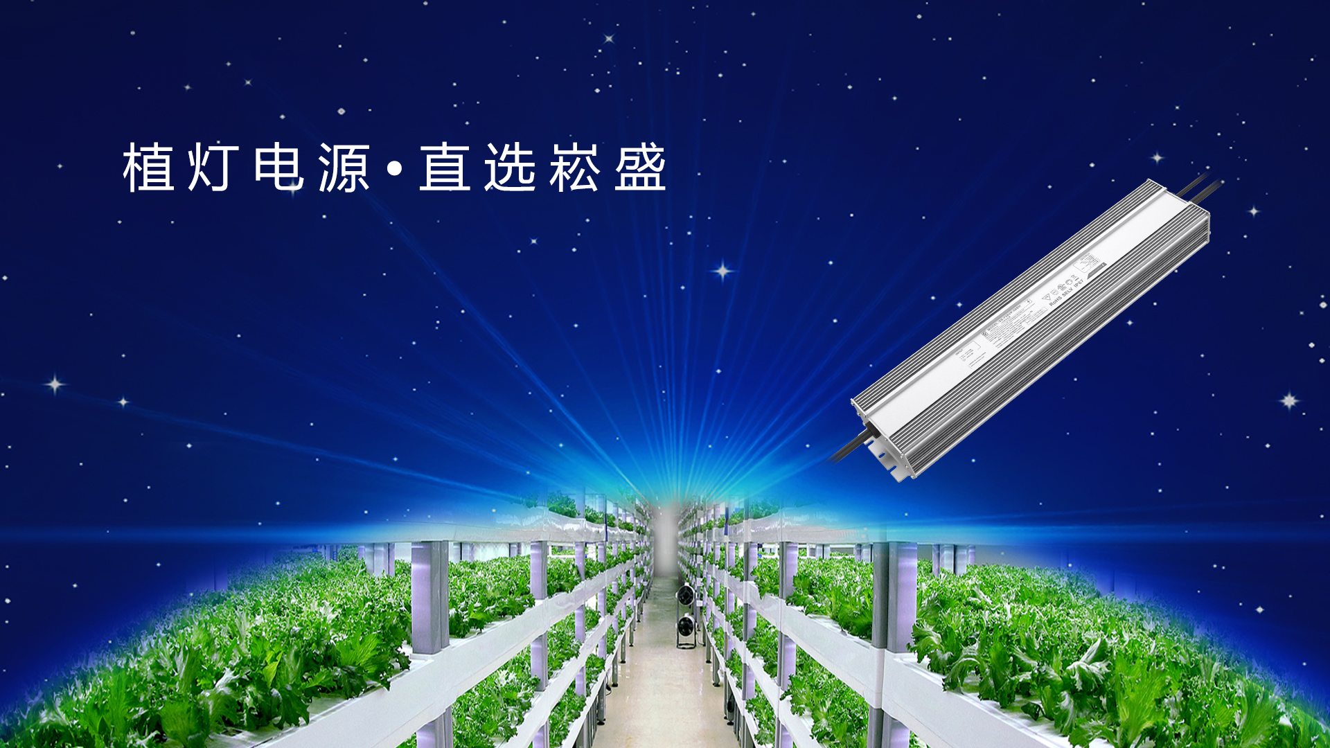 追光而行 ▏做植物照明驱动者，让未来农业绽放无限可能