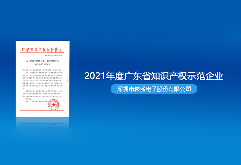 崧盛股份获评“2021年度广东省知识产权示范企业”