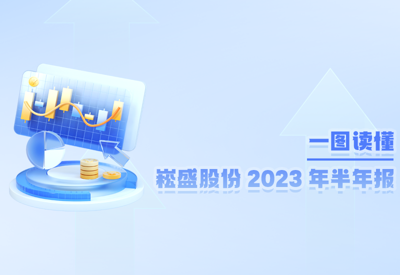 一图读懂 ▏崧盛股份2023年半年报