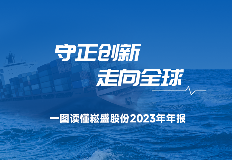  一图读懂｜崧盛股份2023年年报