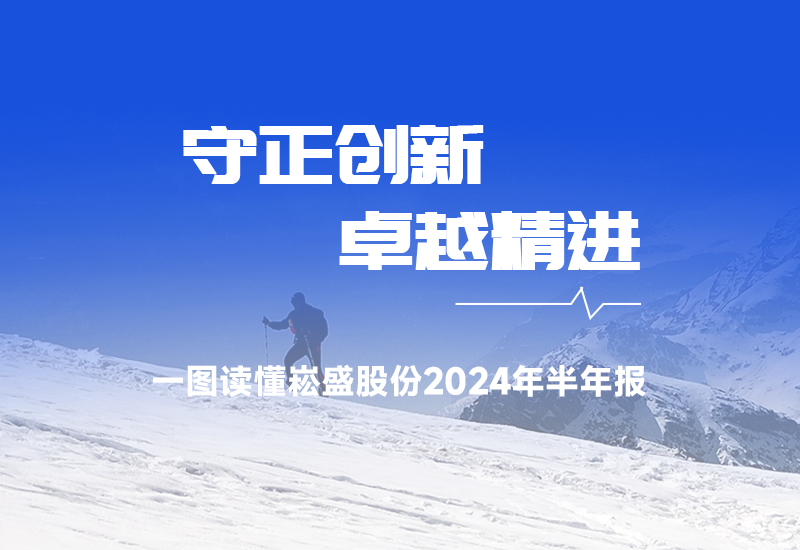 一图读懂 ▏崧盛股份2024年半年报