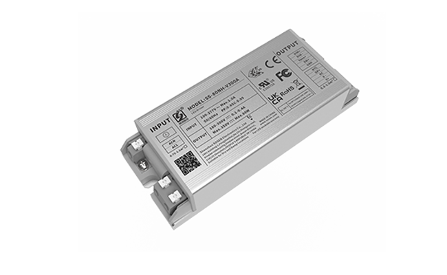 SS-80NH-V300*